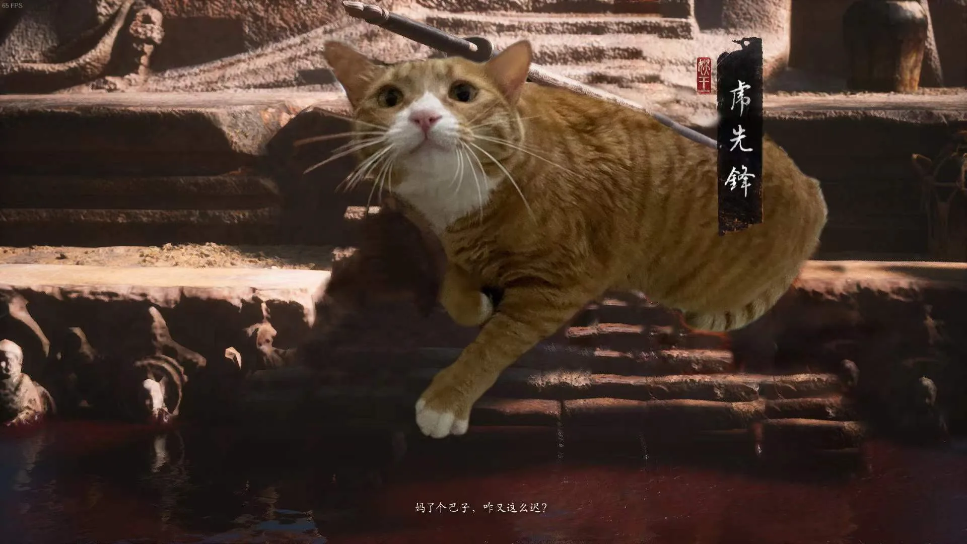 猫咪先锋官
